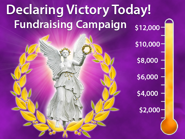 Declaring Victory Fundraising Campaign